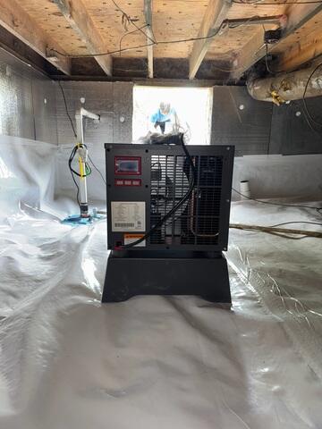 SaniDry Sedona Dehumidifier in Lexington, KY