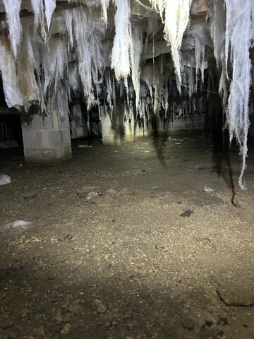 Damp and Wet Crawl Space