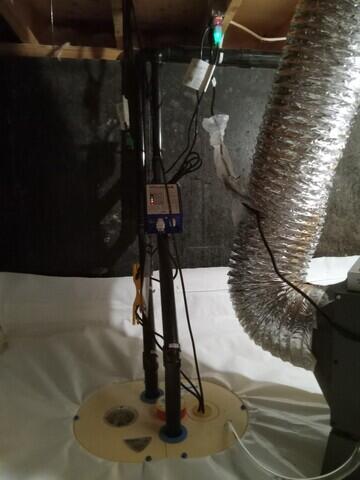 Triplesafe sump system.