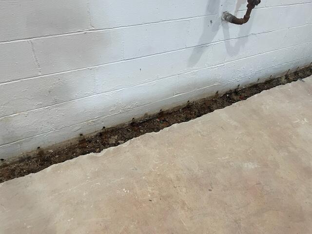 Trench Line