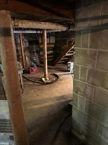 Basement - Before