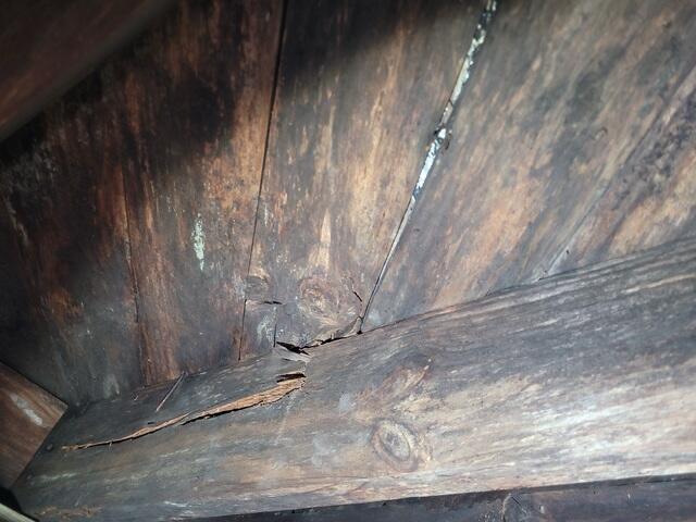 Broken Crawlspace Joist