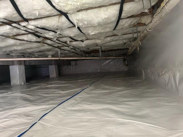 CleanSpace Moisture Barrier