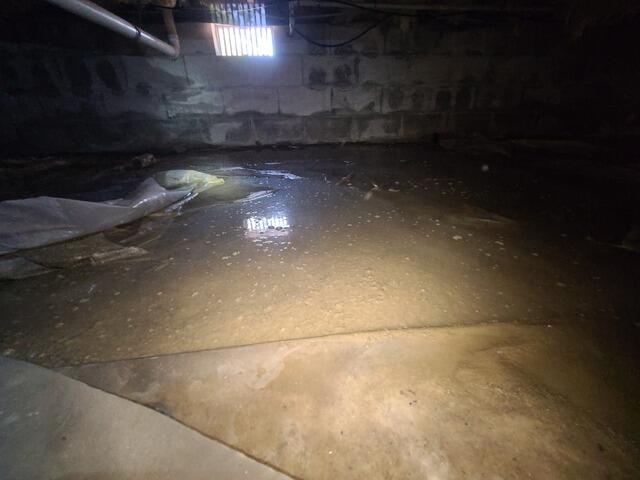 Standing Water