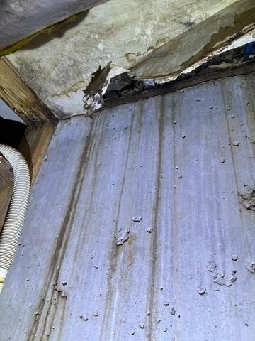 Basement Water Damage