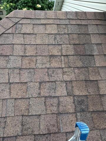 Roofing shingle showing damage