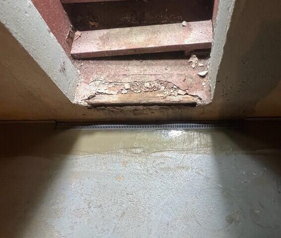 TrenchDrain Grated Basement Drain