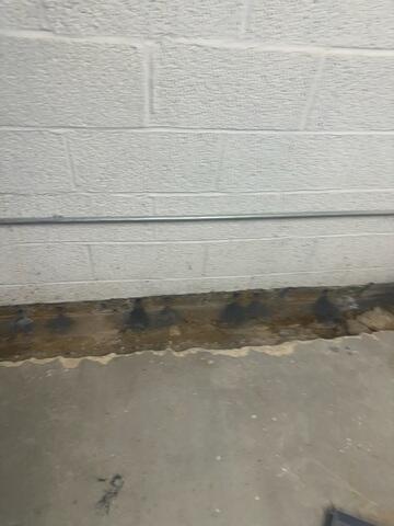 Trench