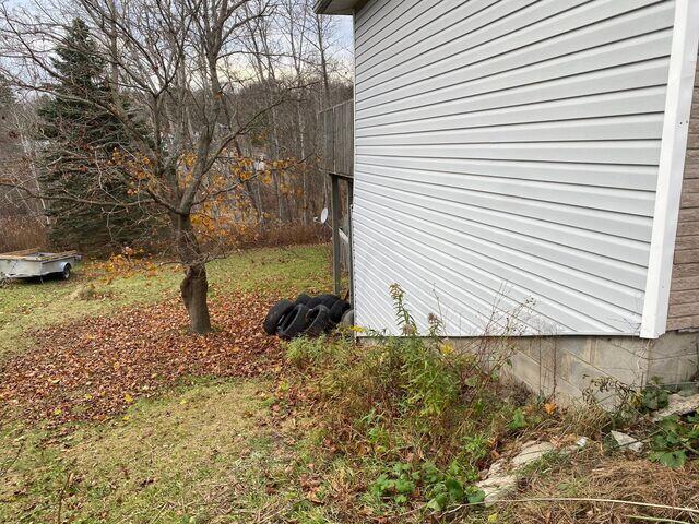 Before photo