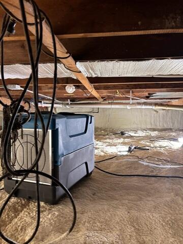 Dehumidifier Attempting to Help