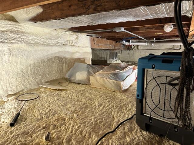 Wet, Moldy Crawl Space