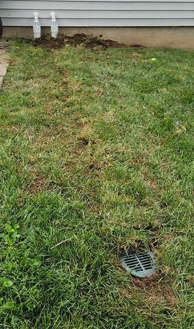 IceGuard™ and LawnScape™ Outlet