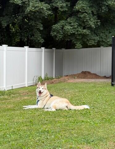 Vinyl Pet Fence