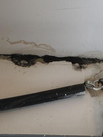 A Lot of Mold Growth