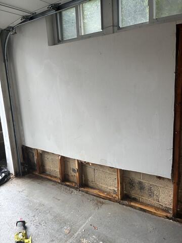 Mold Growing Behind the Wall