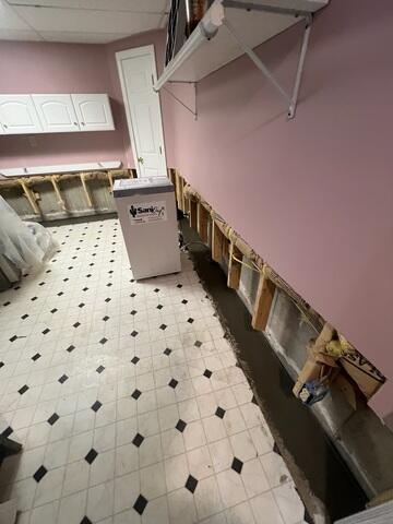 Powerful Basement Dehumidifier