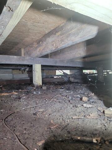 Crawl Space Wood Rot
