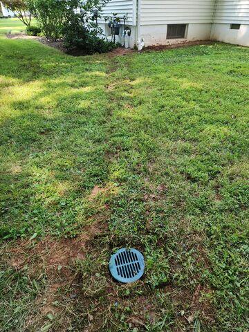 LawnScape