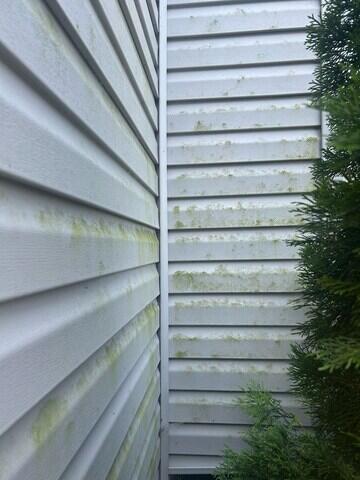 Before Soft Wash