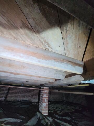 Moldy Crawl Space Wood