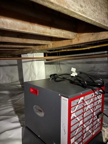 SaniDry™ Dehumidifier