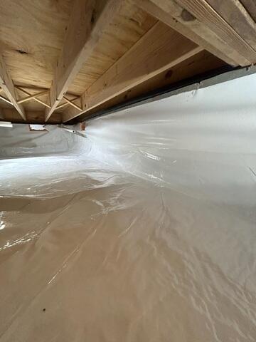 CleanSpace Liner