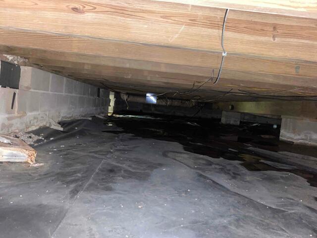 Moisture Problems