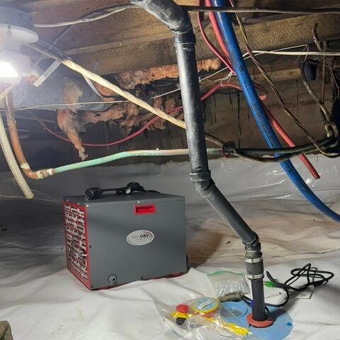 SaniDry™ Sedona Dehumidifier