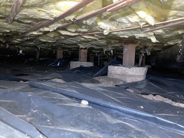 Nasty Crawl Space