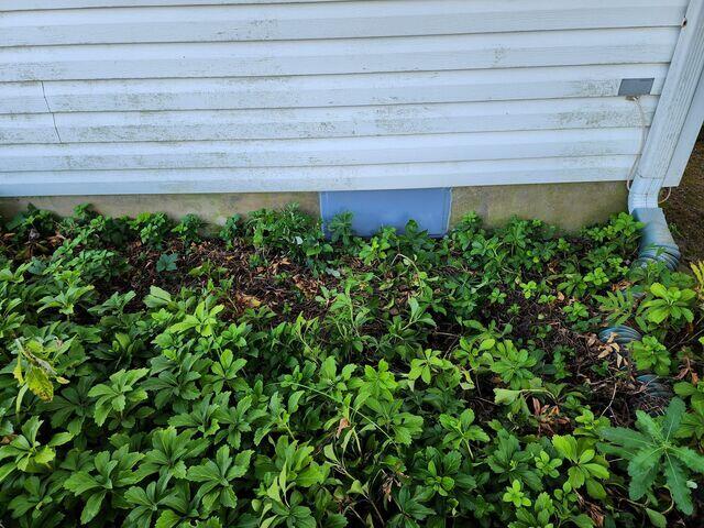Vent Cover