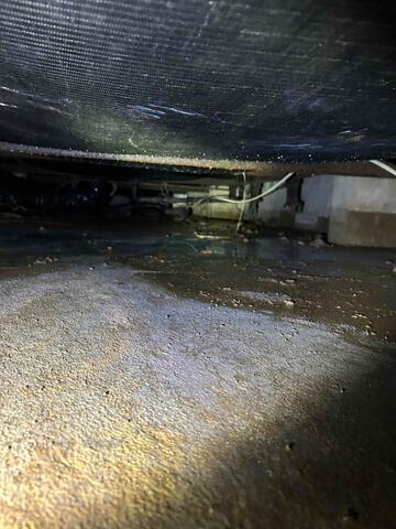 Damp Crawl Space