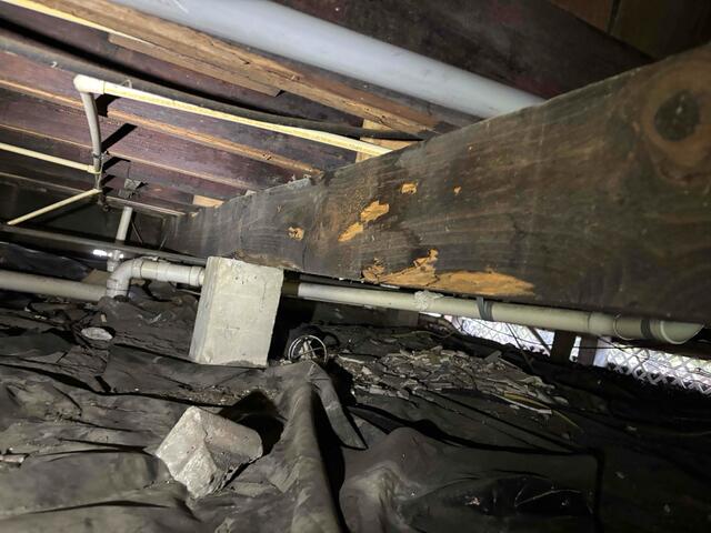 Wooden Floor Joist Damage