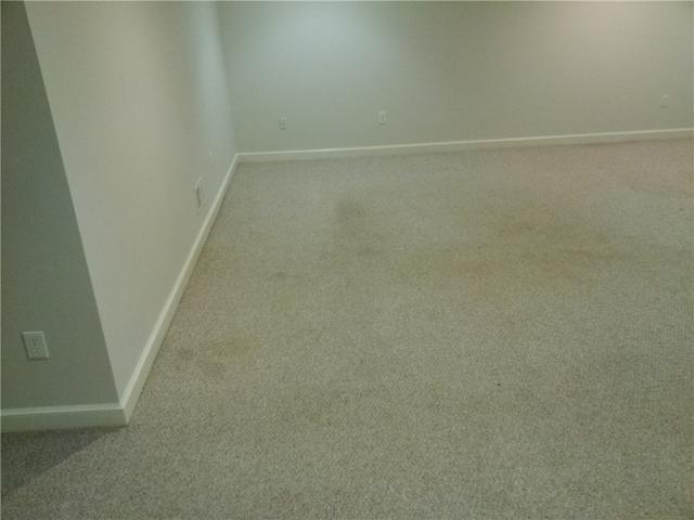 Old Basement Carpeting