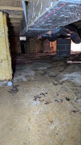 Damp Crawl Space