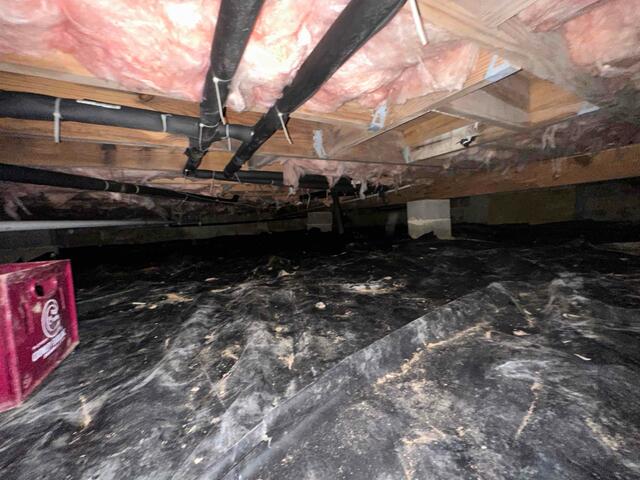 Damp Crawl Space