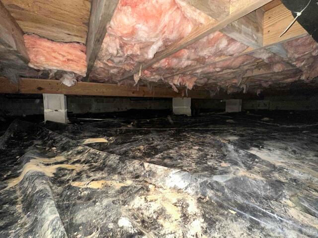 Crawl Space