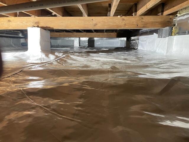CleanSpace