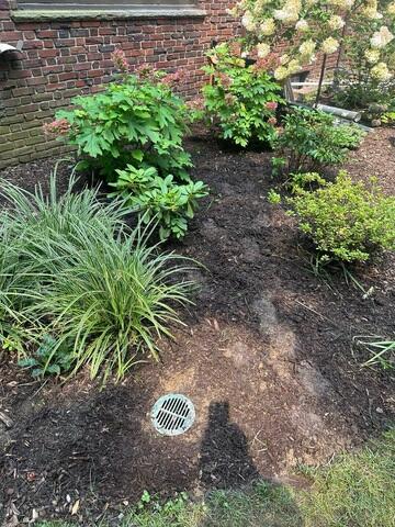 LawnScape