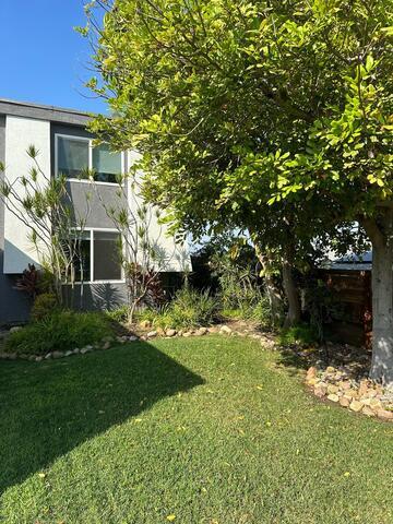 Backyard Lawn & Planting Border - home foundation repair in California