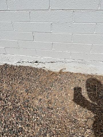 Horizonal Stem Wall Crack