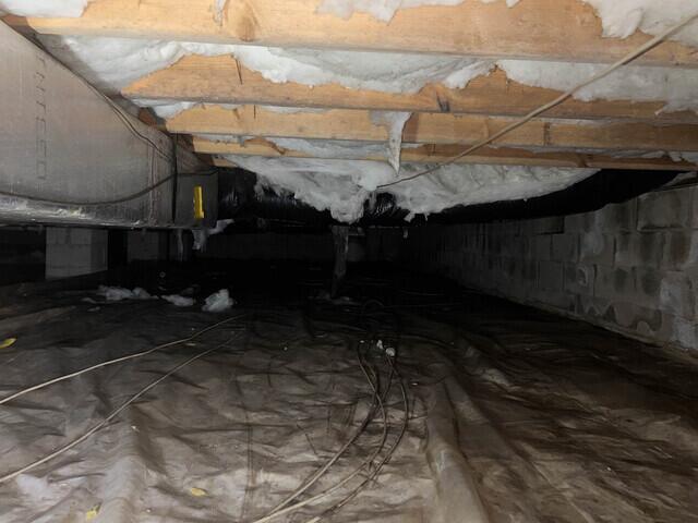 Existing Liner