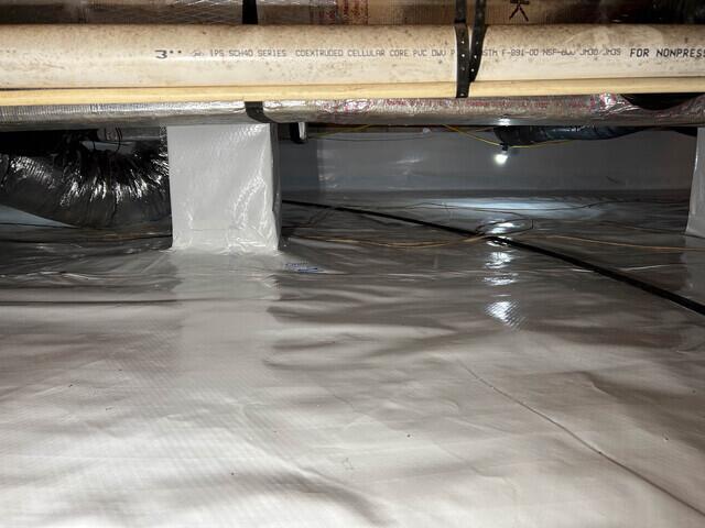 CleanSpace