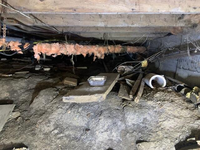 Debris Removal