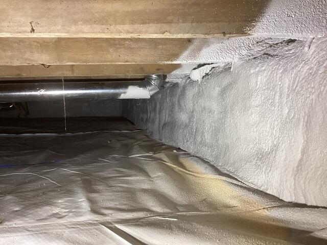 Foam and DC315