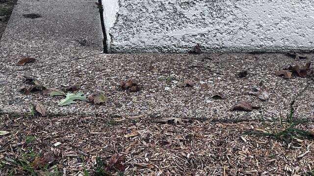 Foundation Settlement