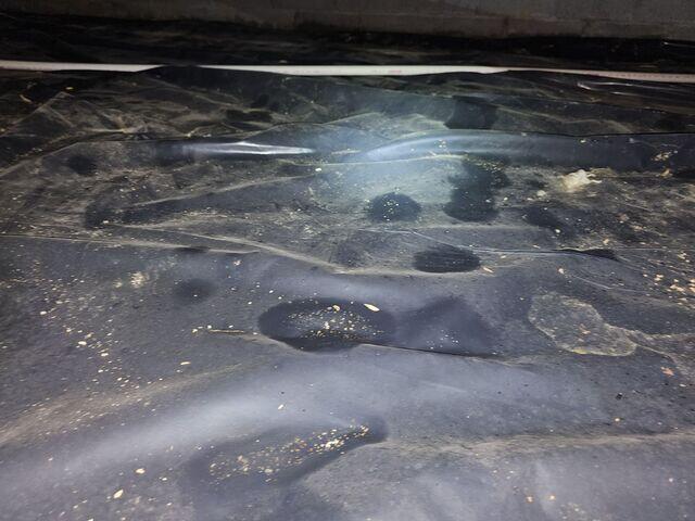 Water Damage