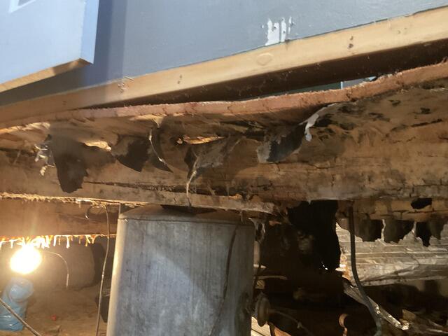 Before