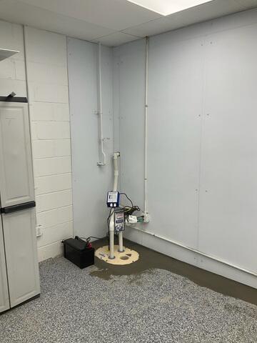 TripleSafe Sump Pump