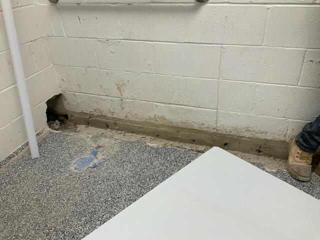 During WaterGuard Install