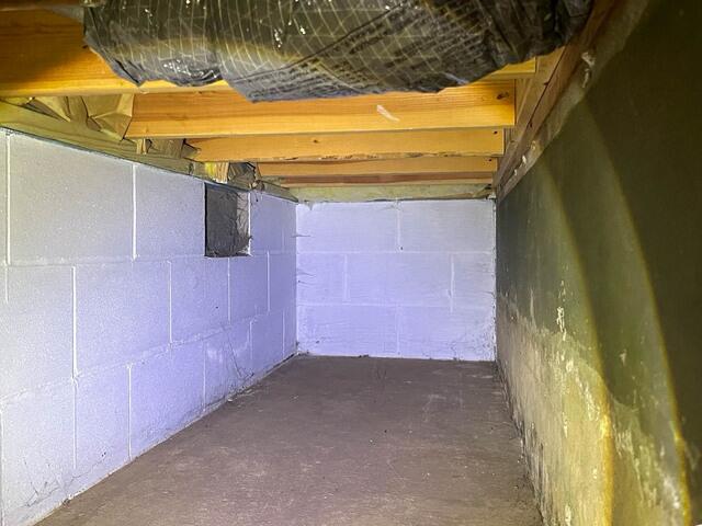 Before Crawl Space Encapsulation